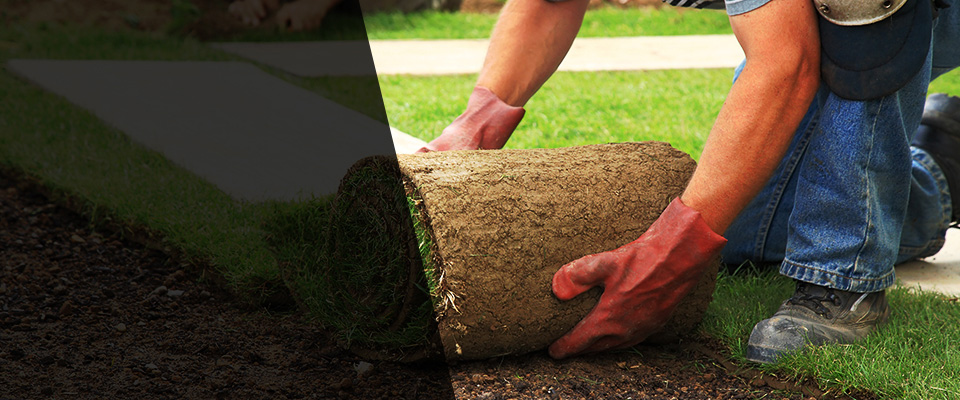 West Orange Landscapers